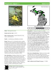 Pinguicula vulgaris - Michigan Natural Features Inventory - Michigan ...