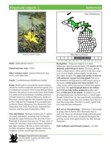 Pinguicula vulgaris - Michigan Natural Features Inventory - Michigan ...