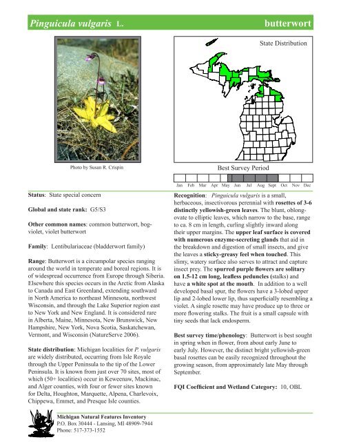 Pinguicula vulgaris - Michigan Natural Features Inventory - Michigan ...