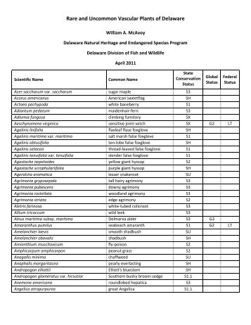 Rare and Uncommon Vascular Plants of Delaware