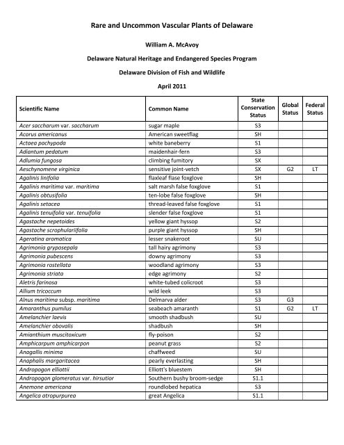 Rare and Uncommon Vascular Plants of Delaware