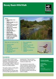 Bovey basin Wild Walk 1-2-12. indd.indd - Devon Wildlife Trust
