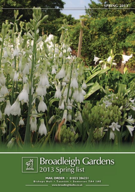 Broadleigh Gardens - Broadleigh Bulbs