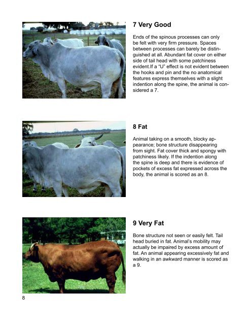 Body Condition Scoring - the American Miniature Zebu Asssoication