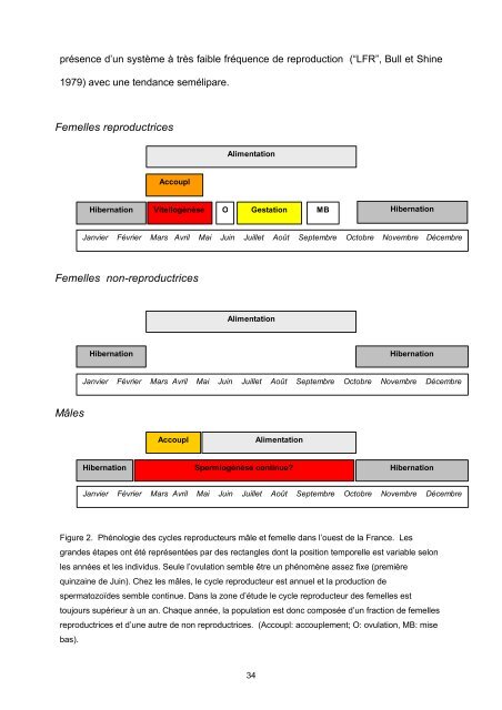 The relationship between total food intake (g) - CEBC - CNRS