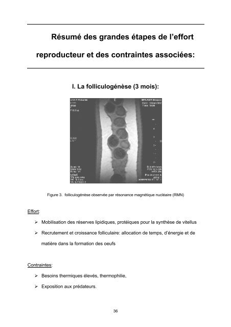 The relationship between total food intake (g) - CEBC - CNRS