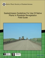 Saskatchewan Guidelines For Use Of Native Plants In Roadside ...