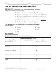 Metamorphic Worksheet