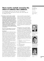 Stone mastic asphalt: assessing the effect of cellulose fibre additives