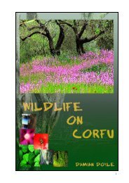 wildlife on corfu - Eircom.net