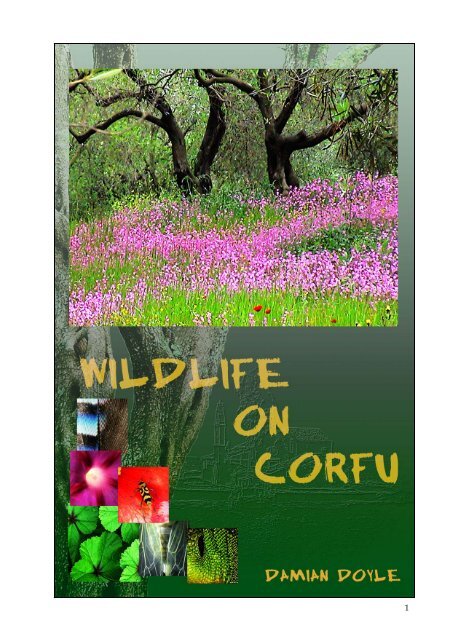 wildlife on corfu - Eircom.net