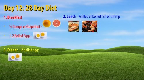 28 Day Diet