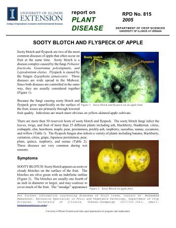 Sooty blotch and flyspeck on an apple - Integrated Pest ...