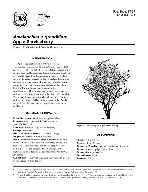 Amelanchier x grandiflora Apple Serviceberry - Environmental ...