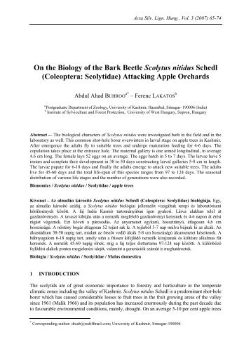 On the Biology of the Bark Beetle Scolytus nitidus Schedl ...