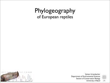 Phylogeography - site de Sylvain Ursenbacher
