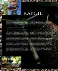 Mise en page 1 - Raygil