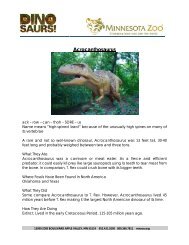 Dinosaurs fact sheets