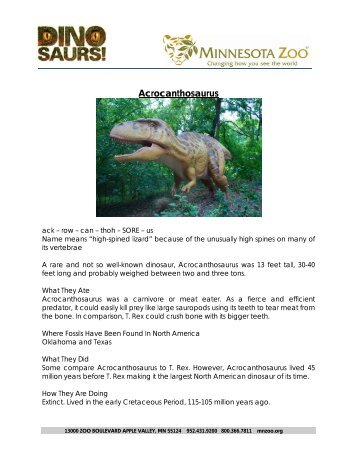 Dinosaurs fact sheets