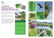 Fruit Tree Trail at Sengkang Riverside Park A Guide to