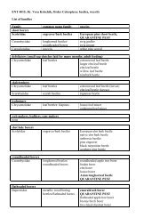 Order Coleoptera: List of families