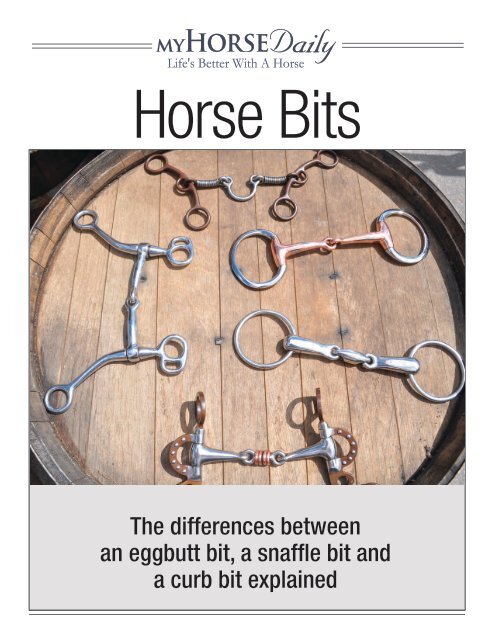 Horse Bits Explained - Holistic Horse Bodyworks