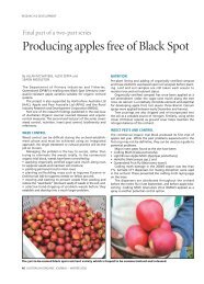 Producing apples free of Black Spot - Biological Farmers of Australia