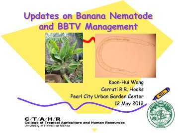 Updates on Banana Nematode and BBTV Management