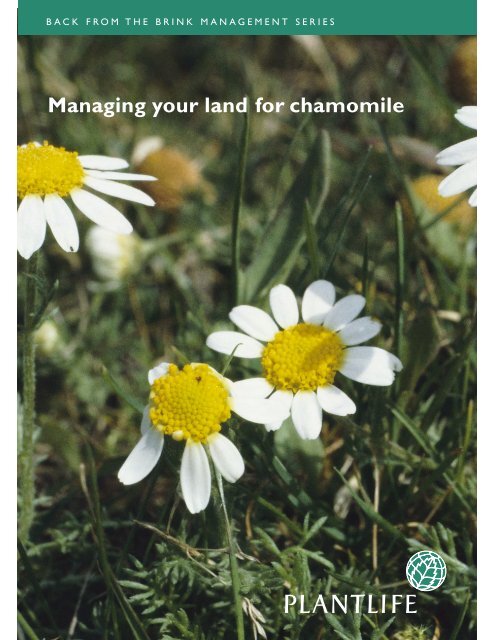 Managing your land for chamomile - Plantlife