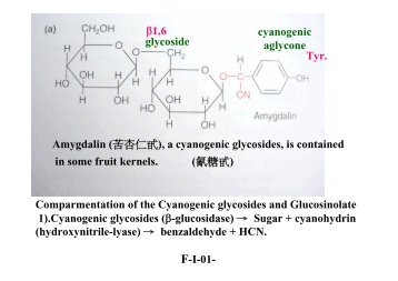 Amygdalin (苦杏仁甙), a cyanogenic glycosides, is contained in ...