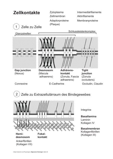 PDF 75 Seiten 8.36M - dpwolfer