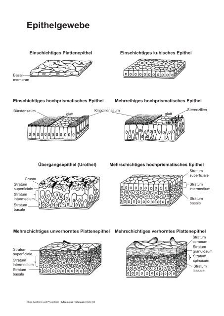 PDF 75 Seiten 8.36M - dpwolfer