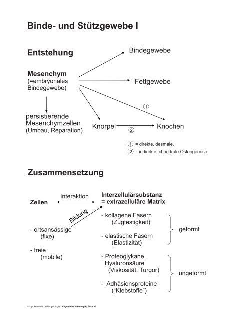 PDF 75 Seiten 8.36M - dpwolfer