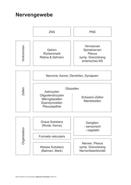 PDF 75 Seiten 8.36M - dpwolfer