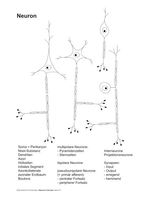 PDF 75 Seiten 8.36M - dpwolfer