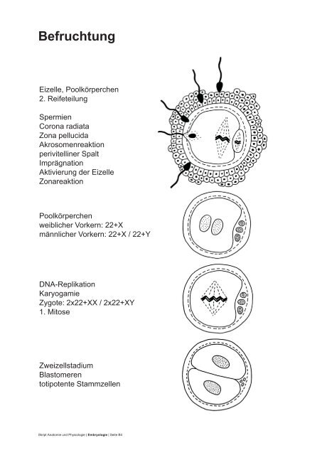 PDF 75 Seiten 8.36M - dpwolfer