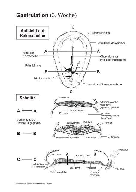 PDF 75 Seiten 8.36M - dpwolfer