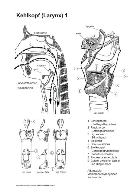 PDF 75 Seiten 8.36M - dpwolfer