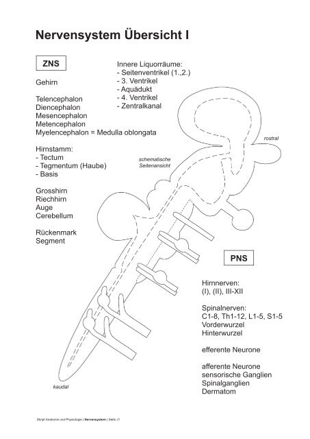 PDF 75 Seiten 8.36M - dpwolfer