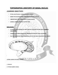 TOPOGRAPHIC ANATOMY OF BASAL NUCLEI