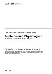 Anatomie und Physiologie II - dpwolfer