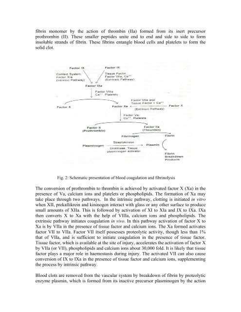 MEDICINAL CHEMISTRY