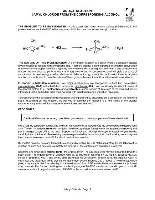 AN SN1 REACTION. t-AMYL CHLORIDE FROM THE ...