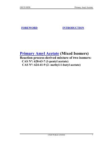 OECD SIDS: Primary Amyl Acetate (Mixed Isomers)