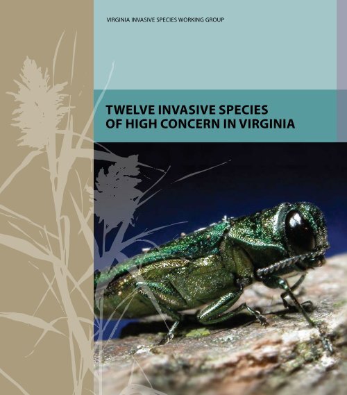 Virginia Invasive Insects Twelve InvasIve specIes of HIgH concern In vIrgInIa