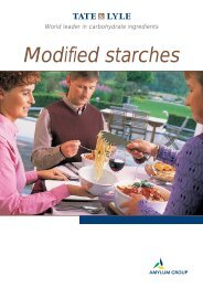 Modified starches - Tate & Lyle