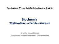 Biochemia Węglowodany (sacharydy, cukrowce) - luskiewnik.strefa.pl