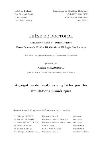 Agrégation de peptides amyloïdes par des simulations numériques