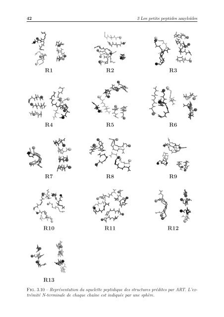 Agrégation de peptides amyloïdes par des simulations numériques