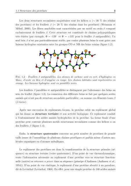 Agrégation de peptides amyloïdes par des simulations numériques